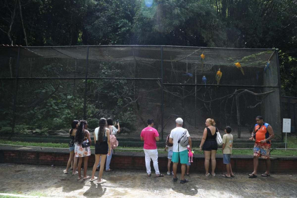 Parque Dois Irmãos terá novos equipamentos voltados ao lazer, convivência e educação ambiental