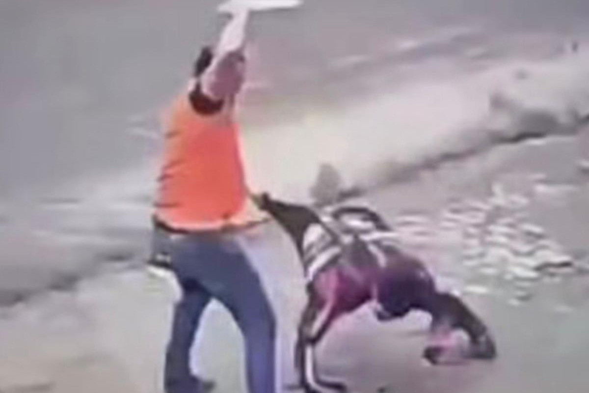 Homem mata irmão a facadas na frente da mãe neste domingo (10) em Caruaru/FOTO: REPRODUÇÃO/REDES