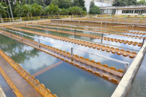 A previs&atilde;o &eacute; de que R$ 2,8 bilh&otilde;es, do total de R$ 3,4 bilh&otilde;es em investimentos da VITA Sert&atilde;o, sejam concentrados nos primeiros oitos anos de servi&ccedil;os