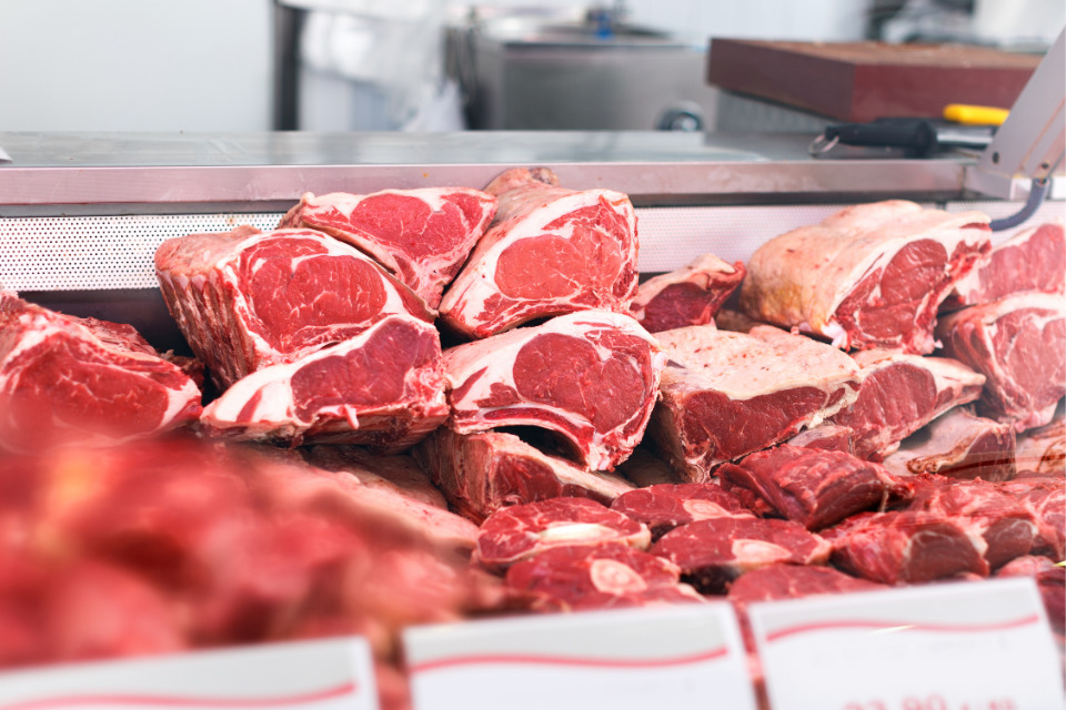 União Europeia vai proibir exportação de carne do Brasil a partir de setembro/Imagem ilustrativa/Canva