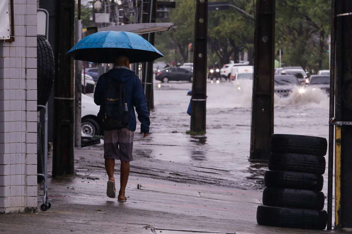 Foto: Rafael Vieira/DP Foto