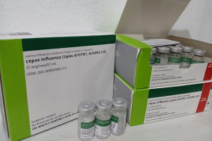 Campanha Nacional de Vacina&ccedil;&atilde;o contra a Influenza segue at&eacute; o dia 30 de maio