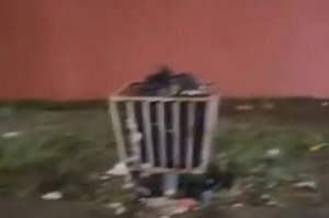 Rua onde aconteceu ataque de pitbulls fica em Carpina, na Zona da Mata Norte 