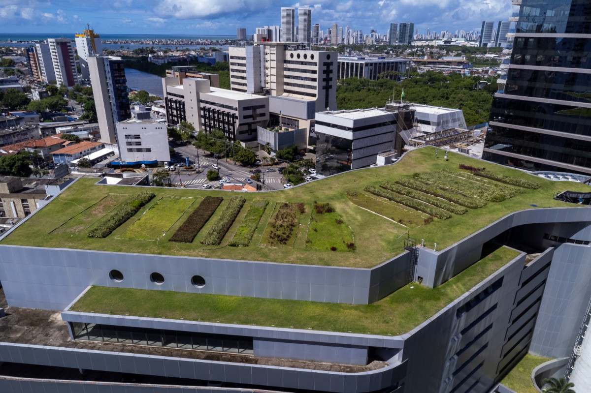 Prédios com telhados verdes são alternativa sustentável para reduzir temperaturas/Foto: Rafael Vieira/DP Foto