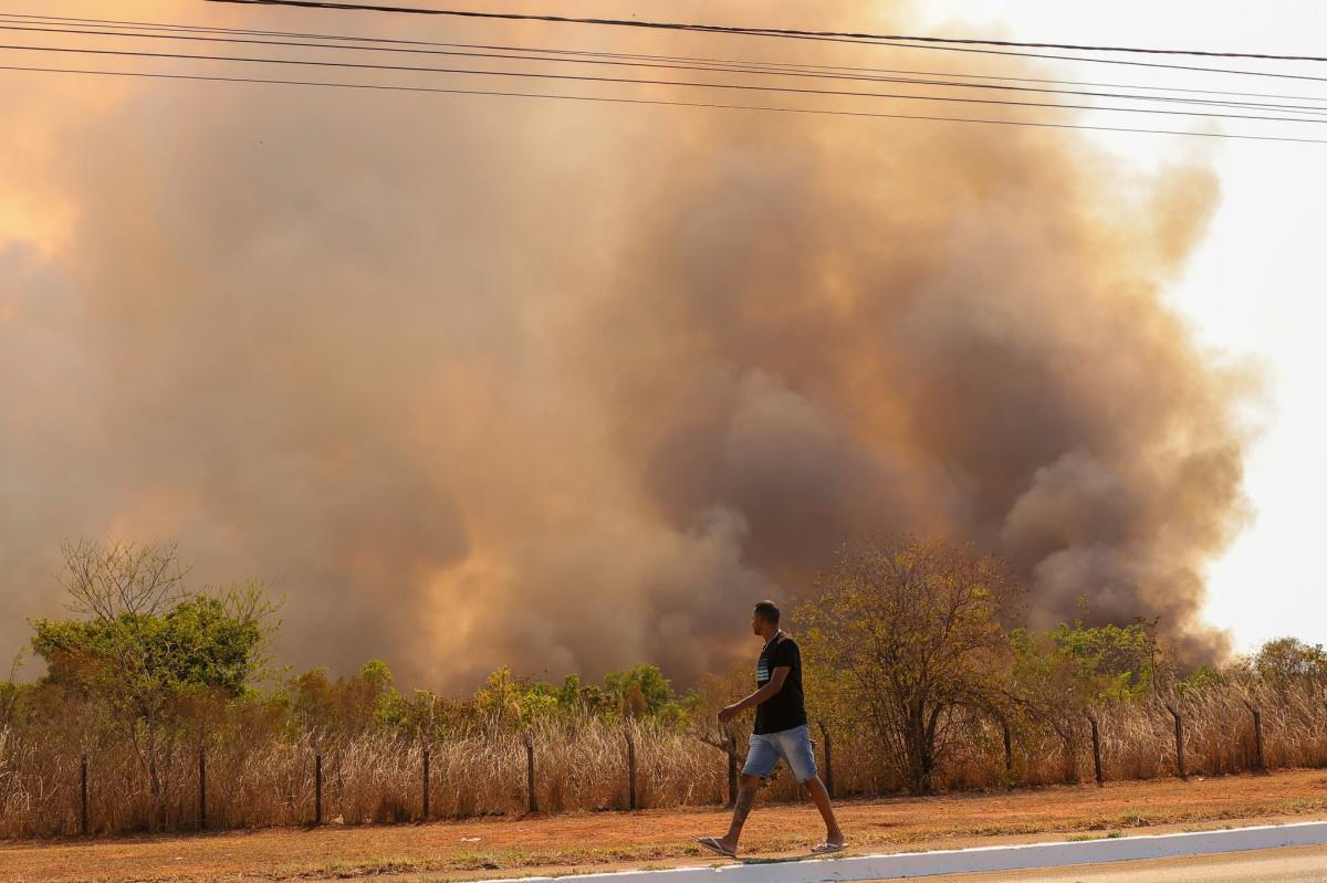 De acordo com a pesquisa, mesmo em uma era de disseminação de fake news, os brasileiros ainda confiam no que a ciência diz/Foto: Fabio Rodrigues-Pozzebom/Agência Brasil