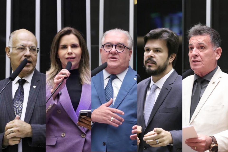 Deputados pernambucanos da Câmara Federal/Foto: Bruno Spada, Kayo Magalhães e Thiago Cristino/Câmara dos Deputados