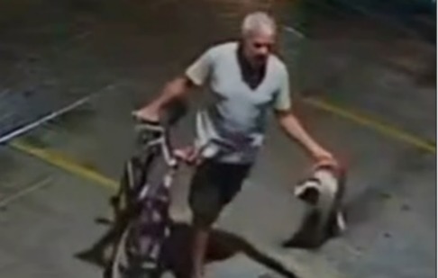 Cadela foi abandonada e amarrada à grade de uma academia de crossfit na Lagoa do Araçá, no bairro da Imbiribeira/Reprodução/Redes sociais
