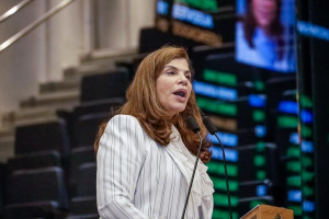 A deputada estadual Socorro Pimentel (PSD), autora da proposta que criou o colegiado, foi escolhida para presidir os trabalhos