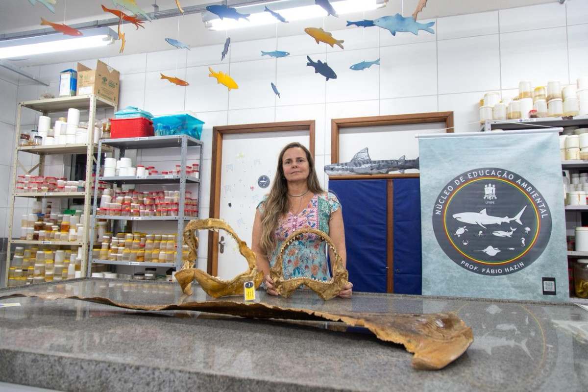 Para a pesquisadora Alessandra Fischer, a ocorrência de dois episódios em sequência pode estar relacionada a um conjunto de condições ambientais /Foto: Karol Rodrigues/DP Foto