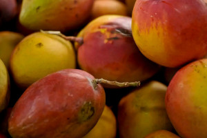 A manga est&aacute; entre os produtos que devem ficar de fora da tarifa proposta pelos EUA