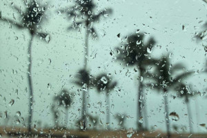 Inmet prev&ecirc; chuva com at&eacute; 50 mm de volume para 88 munic&iacute;pios de Pernambuco 