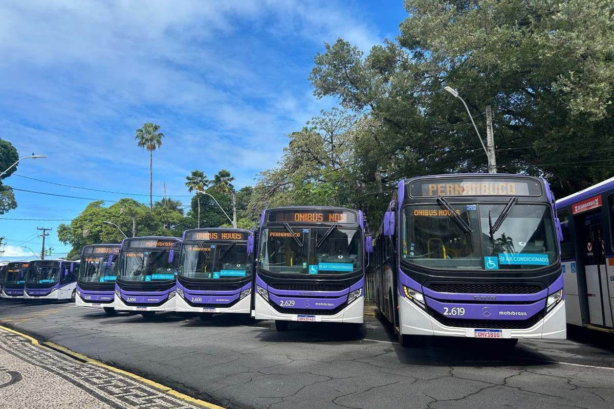 Governo de Pernambuco entrega 40 novos ônibus e amplia renovação da frota metropolitana
/Foto: DP Foto