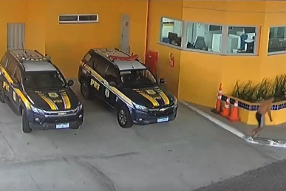 Bebê de 4 meses foi salva de engasgo por agentes da PRF em Petrolina, no Sertão/Reprodução de vídeo/PRF