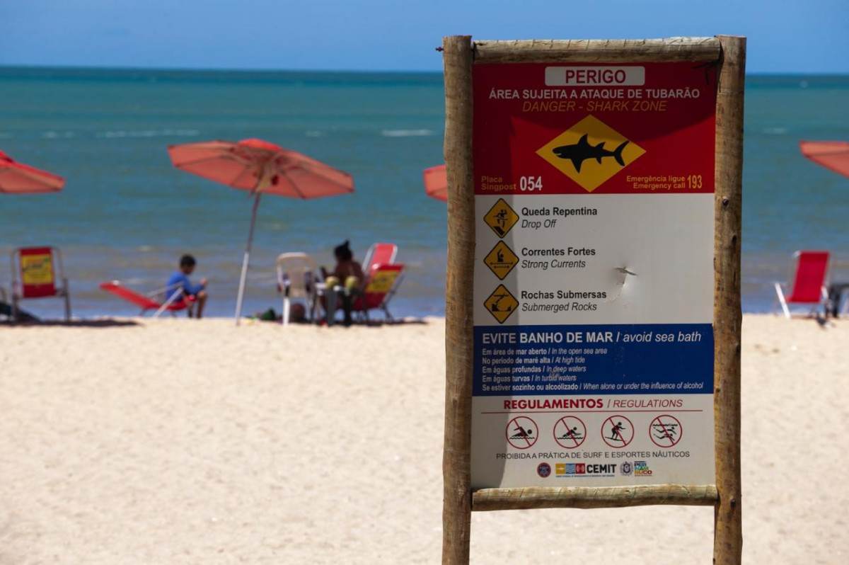 Placas avisam sobre áreas sujeitas a ataques de tubarão no litoral pernambucano/Foto: Rafael Vieira/DP Foto