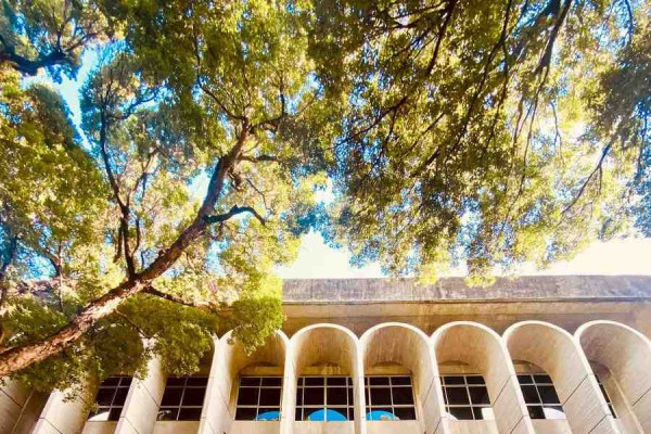 Vestibular 2026.2 da Unicap acontece neste domingo (14)/Divulgação