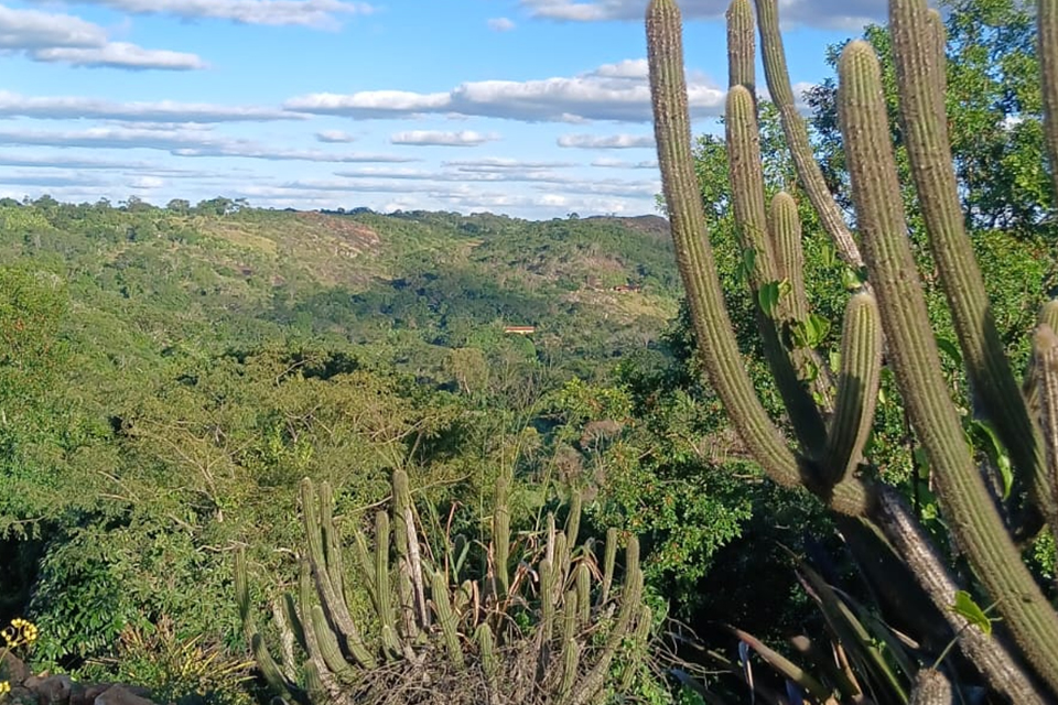 Iniciativa propõe a ampliação das unidades de proteção da caatinga /DIVULGAÇÃO/SEMAS