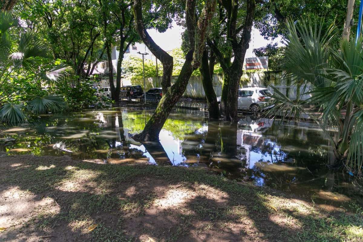 Em ruínas, Teatro Valdemar de Oliveira vive o drama do abandono no Centro do Recife (Foto: Rafael Vieira/ DP)