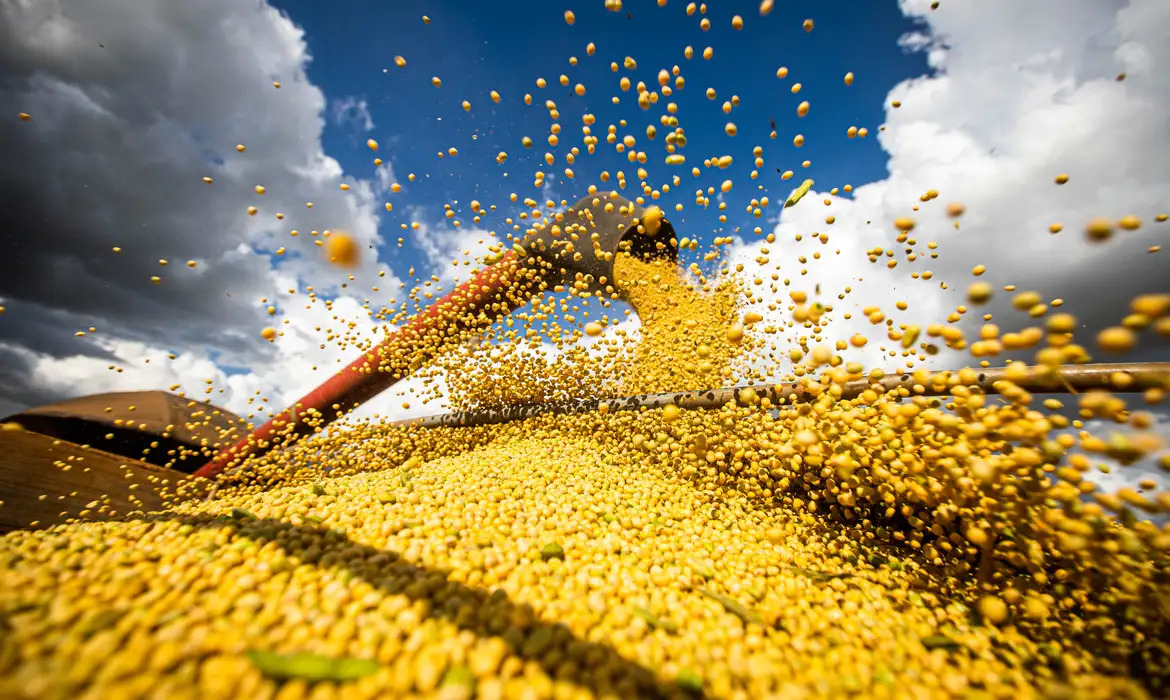 A estimativa da área cultivada de grãos para Safra 2025/26 é de 83,5 milhões de hectares/CNA/Wenderson Araujo/Trilux
