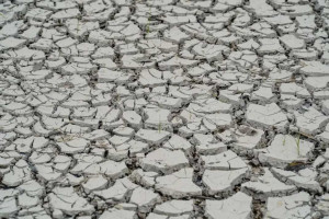 Secas intensas est&atilde;o entre os principais efeitos do El Ni&ntilde;o