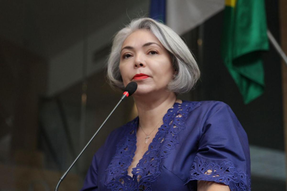 Liana se junta a juristas de todo o país/Foto: Carlos Lima/ Câmara do Recife