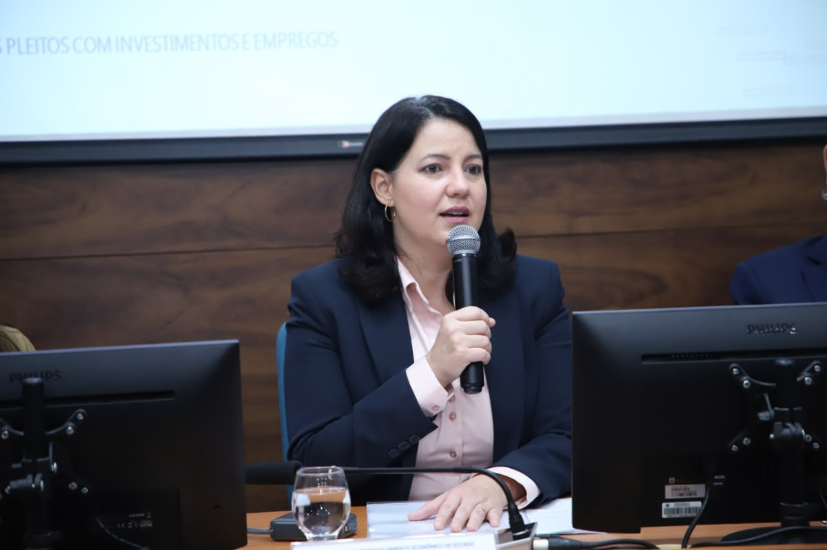 Secretária de Desenvolvimento Econômico de Pernambuco, Danielle Jar Souto
/Foto Allan Torres/SDEC