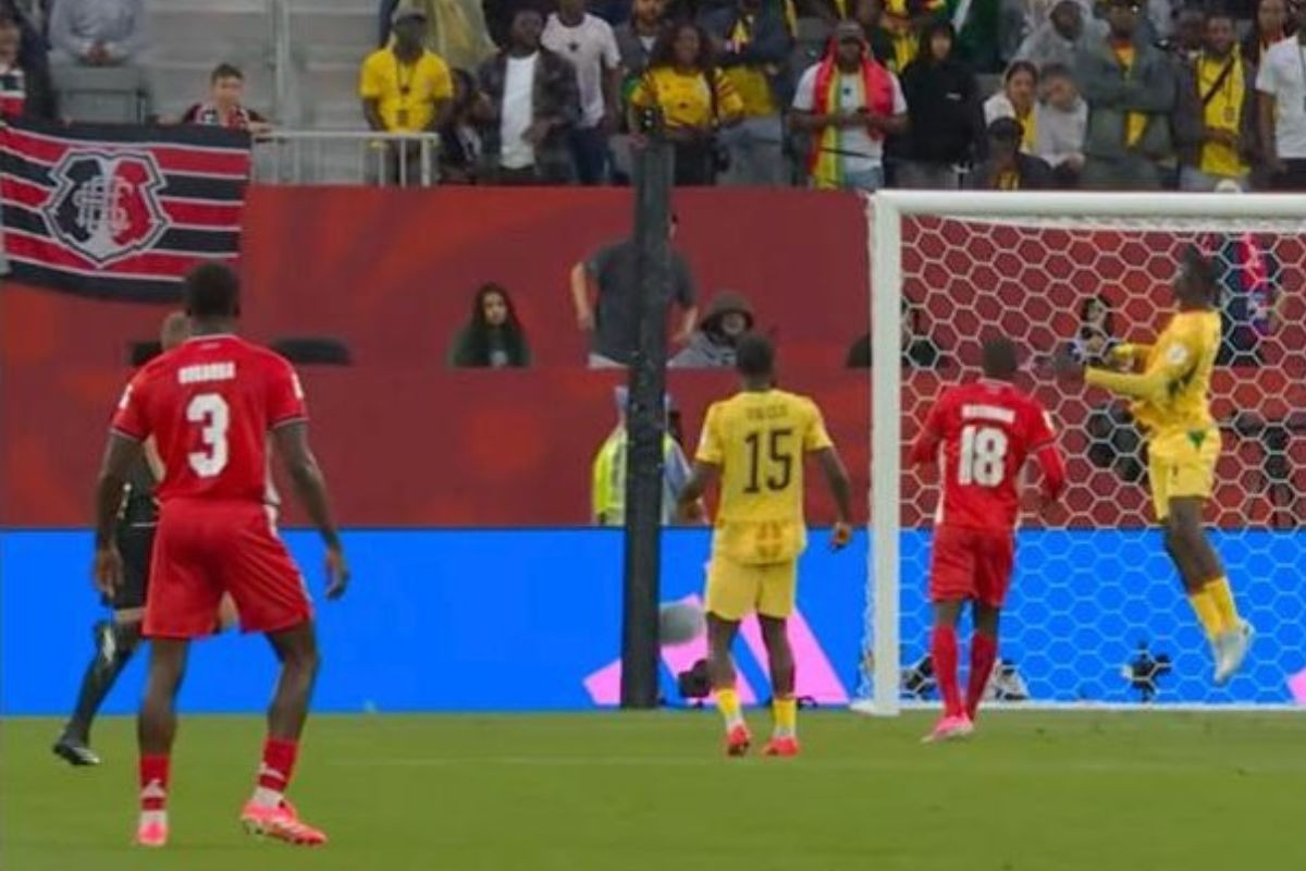 Bandeira do Santa Cruz na Copa do Mundo/Reprodução