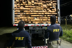 PRF apreende 623 m&sup3; de madeira irregular 