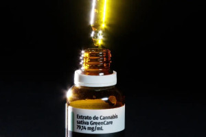 &Oacute;leo de cannabis