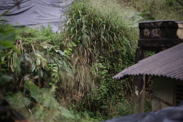 Barreira localizada na Rua 8 de Maio preocupa moradores de Olinda em dias chuvosos (Foto: Mauricio Ferry/DP Foto)