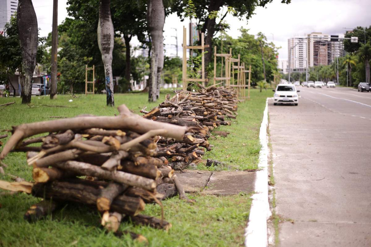 venda de fogueiras Av Agamenon Magalhães , Bairro de Santo Amaro (Foto: Mauricio Ferry / DP)