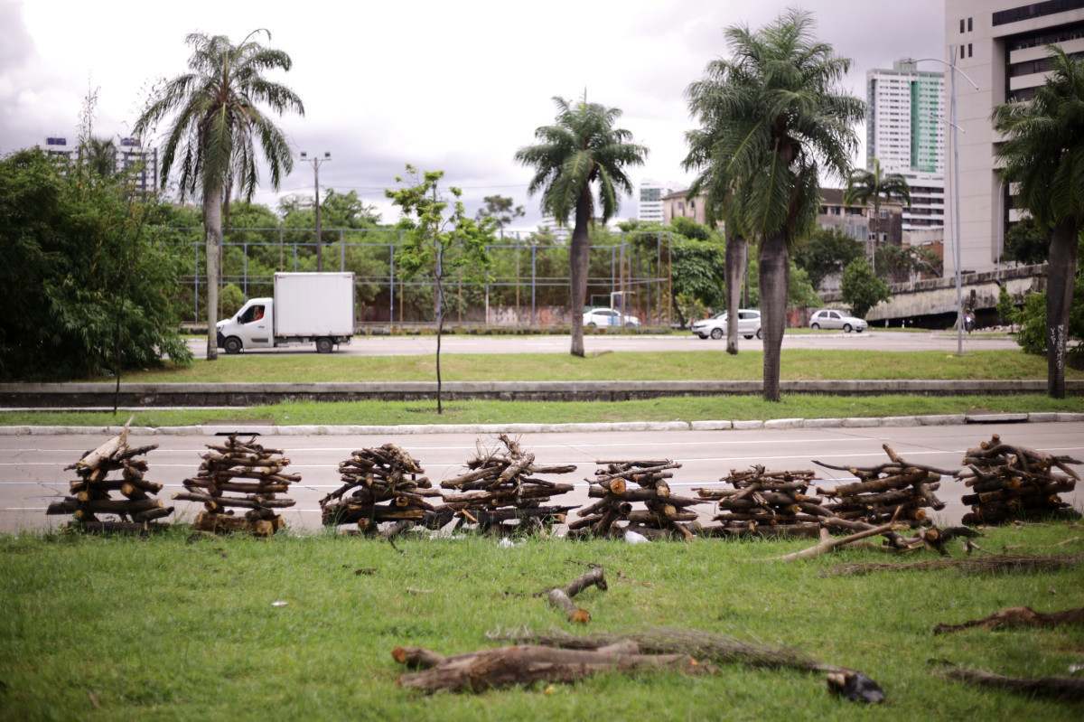 venda de fogueiras Av Agamenon Magalhães , Bairro de Santo Amaro/Foto: Mauricio Ferry / DP