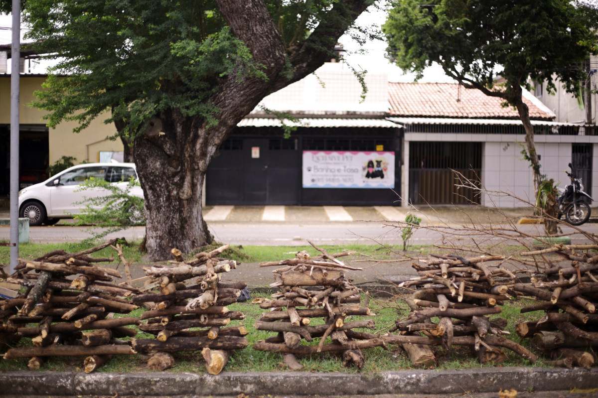 venda de fogueiras Rua Frei Casemiro Bairro de Sto Amaro (Foto: Mauricio Ferry / DP)