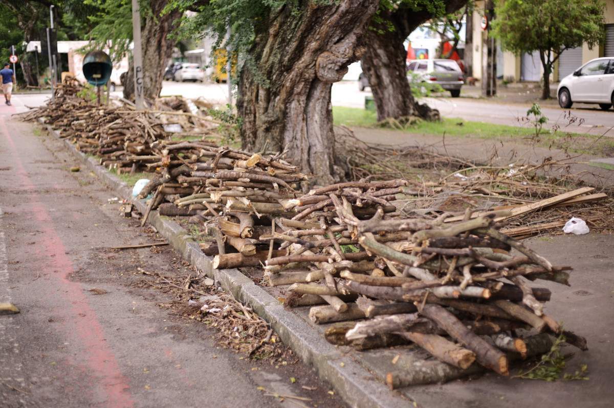 venda de fogueiras Rua Frei Casemiro Bairro de Sto Amaro (Foto: Mauricio Ferry / DP)