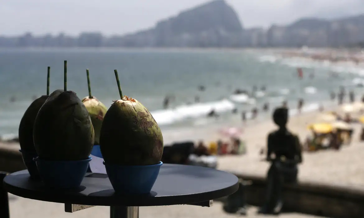 Os gastos de turistas internacionais no Brasil bateram recorde histórico /TÂNIA RÊGO/AGÊNCIA BRASIL