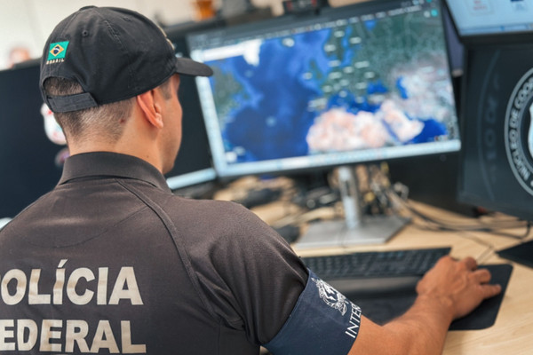 Quadrilha que traficava cocaína em pallets de mamão papaia é alvo da PF em Pernambuco