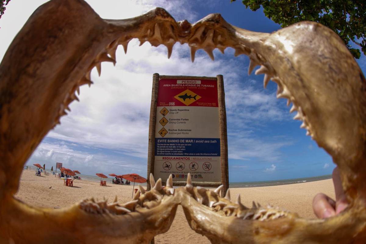 Foto: Rafael Vieira/DP