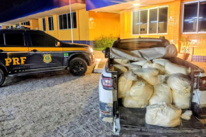 Produto foi apreendido e ser&aacute; encaminhado &agrave; Ag&ecirc;ncia de Defesa e Fiscaliza&ccedil;&atilde;o Agropecu&aacute;ria
