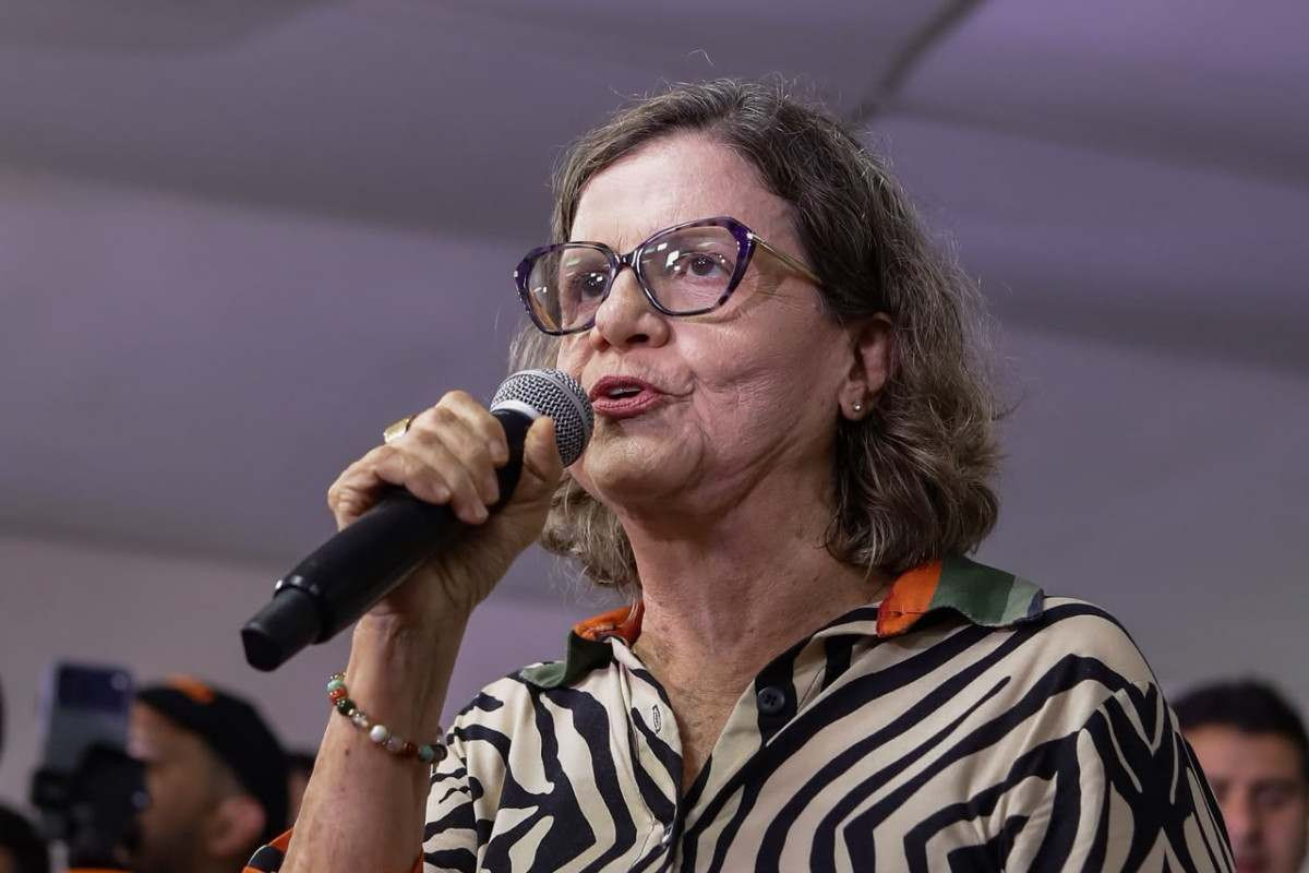 Senadora Teresa Leitão, nova líder do governo no Senado/Rafael Vierira/DP Foto
