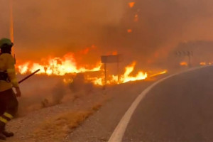 Bombeiros trabalhando em um inc&ecirc;ndio florestal perto de Bedar, no distrito de Los Gallardos, na prov&iacute;ncia de Almer&iacute;a