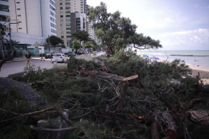 A retirada das &aacute;rvores revoltou alguns moradores da localidade, que questionaram a a&ccedil;&atilde;o.