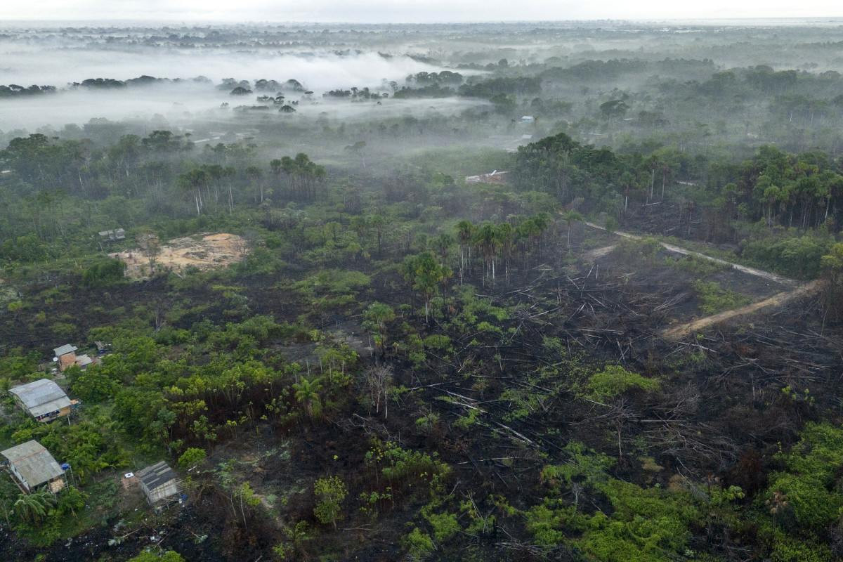 Vista aérea de um terreno afetado por incêndios florestais na região amazônica do arquipélago de Marajó, estado do Pará, registrada em 9 de dezembro de 2024/ AFP
