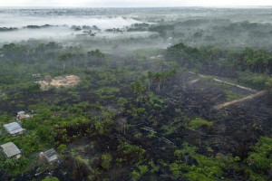 Inc&ecirc;ndios na Amaz&ocirc;nia ca&iacute;ram a m&iacute;nimo hist&oacute;rico em 2025, diz MapBiomas