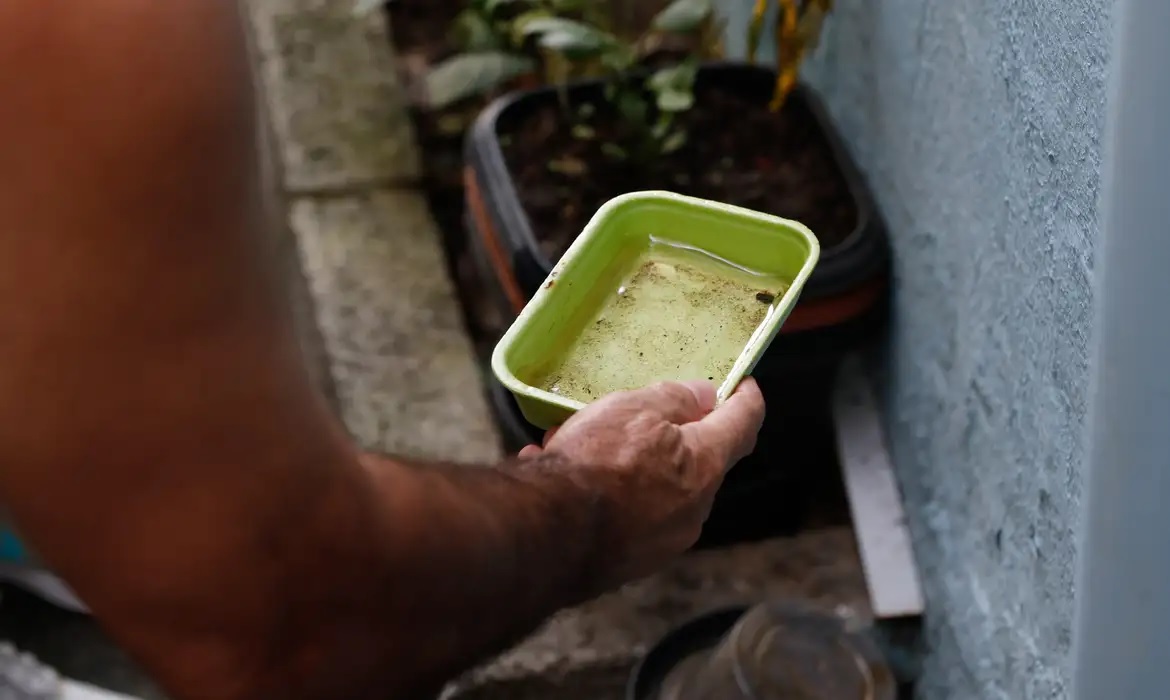 Intensidade do El Niño favorece a multiplicação do mosquito Aedes aegypti,/ Fernando Frazão/Agência Brasil