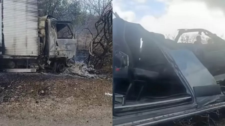 Acidente entre van do Transporte Fora de Domicílio e caminhão deixou sete mortos na PE-360, no Sertão /Reprodução/Redes Sociais