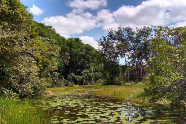 Reserva Pedra D'Antas, em Lagoa dos Gatos