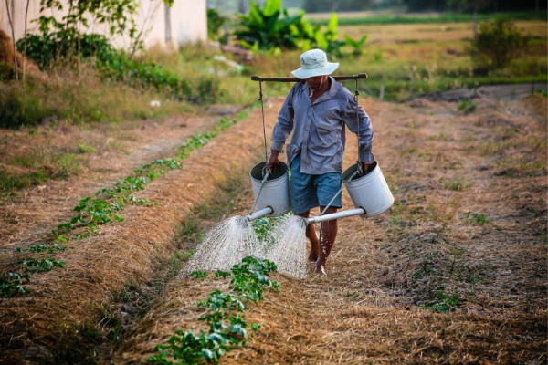 Famílias desistiram da aquisição da terra por meio do Programa Nacional de Crédito Fundiário