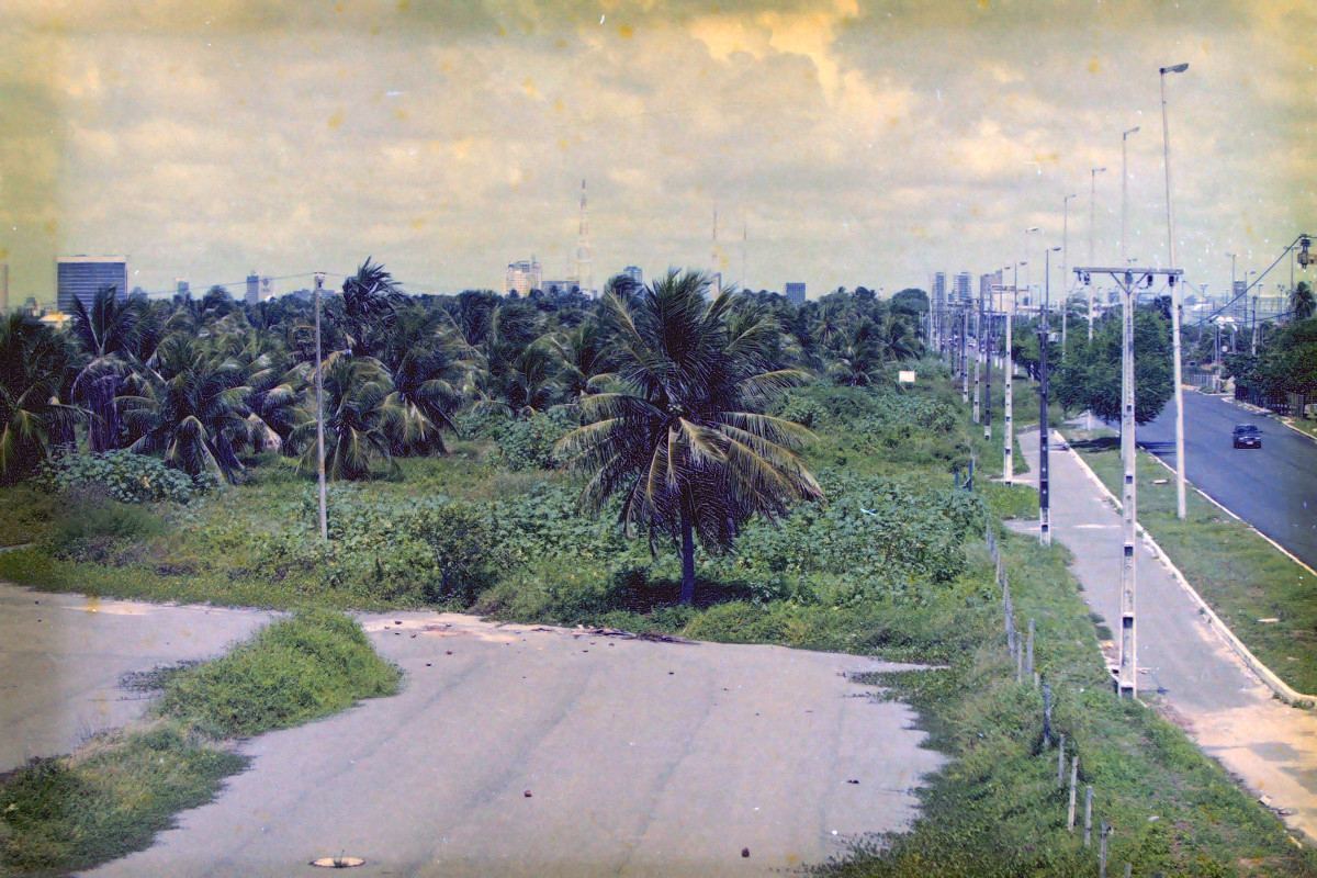 Coqueiral de Olinda, em 2002 (Alcione Ferreira/Acervo DP)