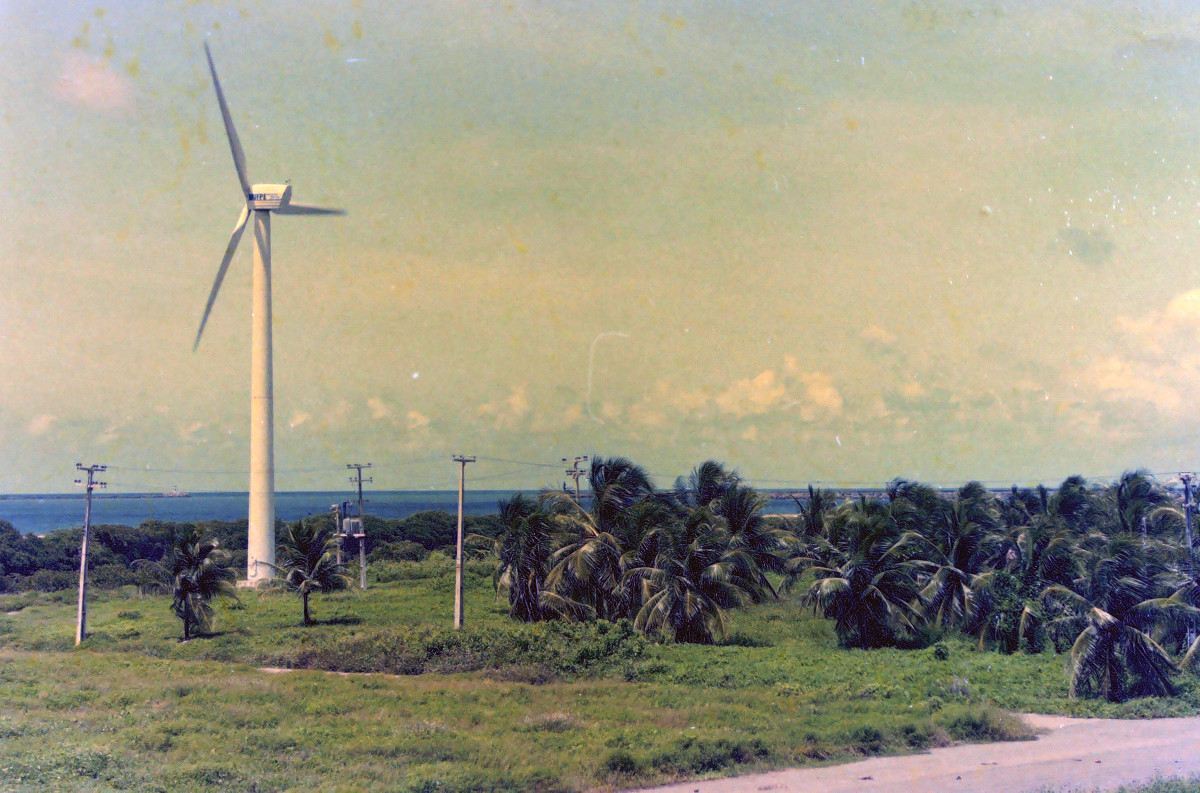 Coqueiral de Olinda, em 2002 (Alcione Ferreira/Acervo DP)