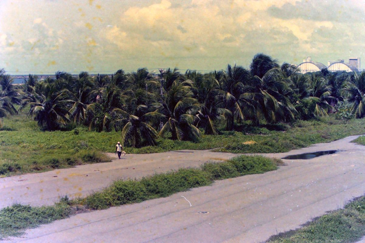 Coqueiral de Olinda, em 2002 (Alcione Ferreira/Acervo DP)