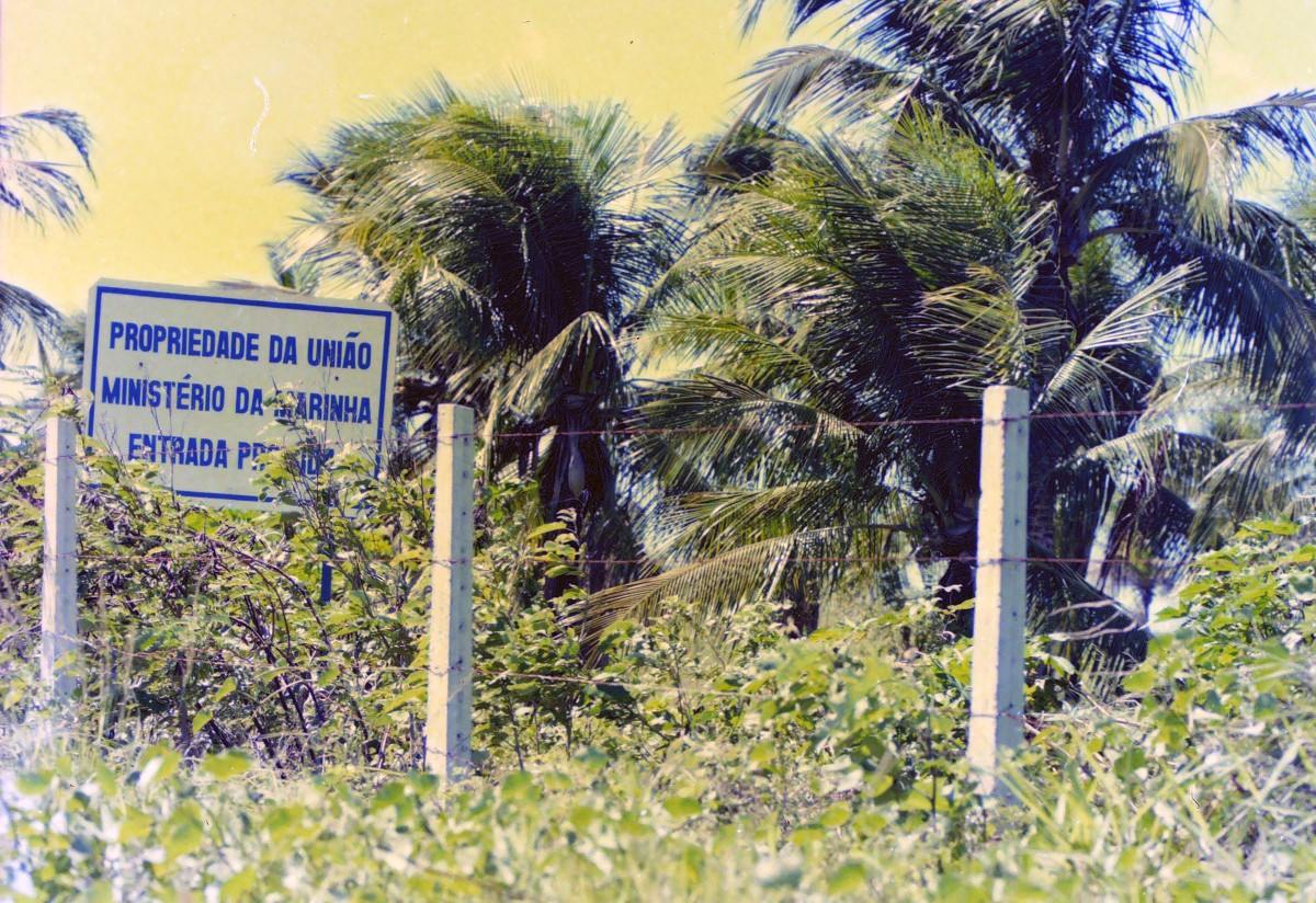 Coqueiral na área da Marinha em Olinda, em 1998 (Heitor Cunha/Acervo DP)